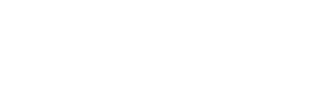 Elevy Telecom